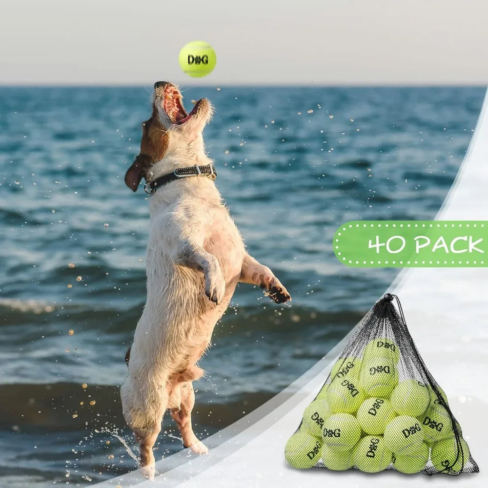 40 Pack Dog Tennis Balls Set With Carry Bags