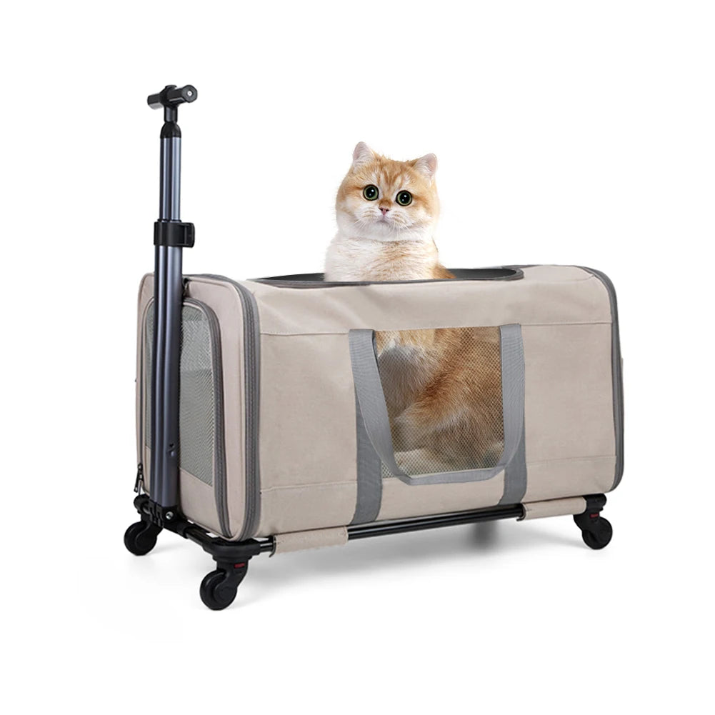 Cat Trolley Carrier With Wheels For Two Cats