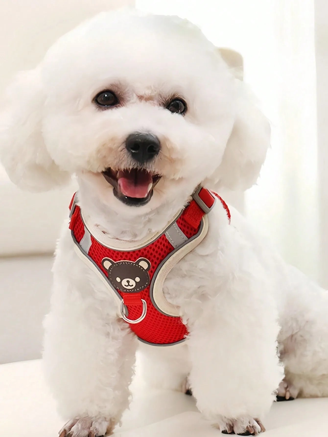 Cartoon Bear Reflective Pet Harness Leash Set For Dogs Cats