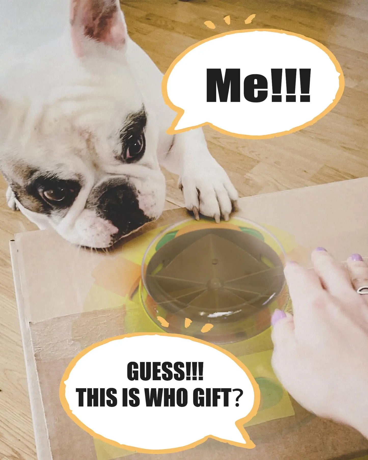 Interactive Puzzle Dog Toy With Slow Feeder Dispenser