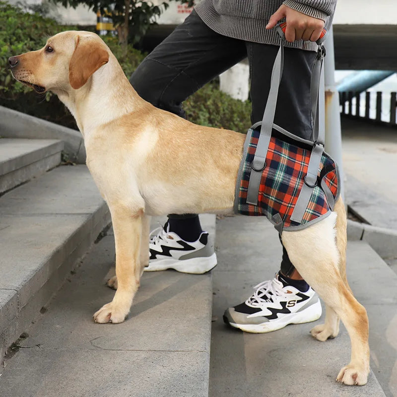 Adjustable Dog Support Harness for Front and Rear Legs Lifting Rehabilitation Vest for Old Dogs with Disabilities Pet Supplies