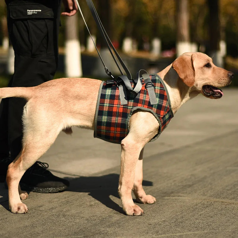 Adjustable Dog Support Harness for Front and Rear Legs Lifting Rehabilitation Vest for Old Dogs with Disabilities Pet Supplies