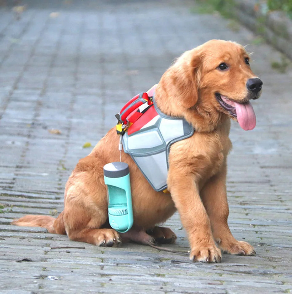 Dog Water Bottle Dispenser With Activated Carbon Filter