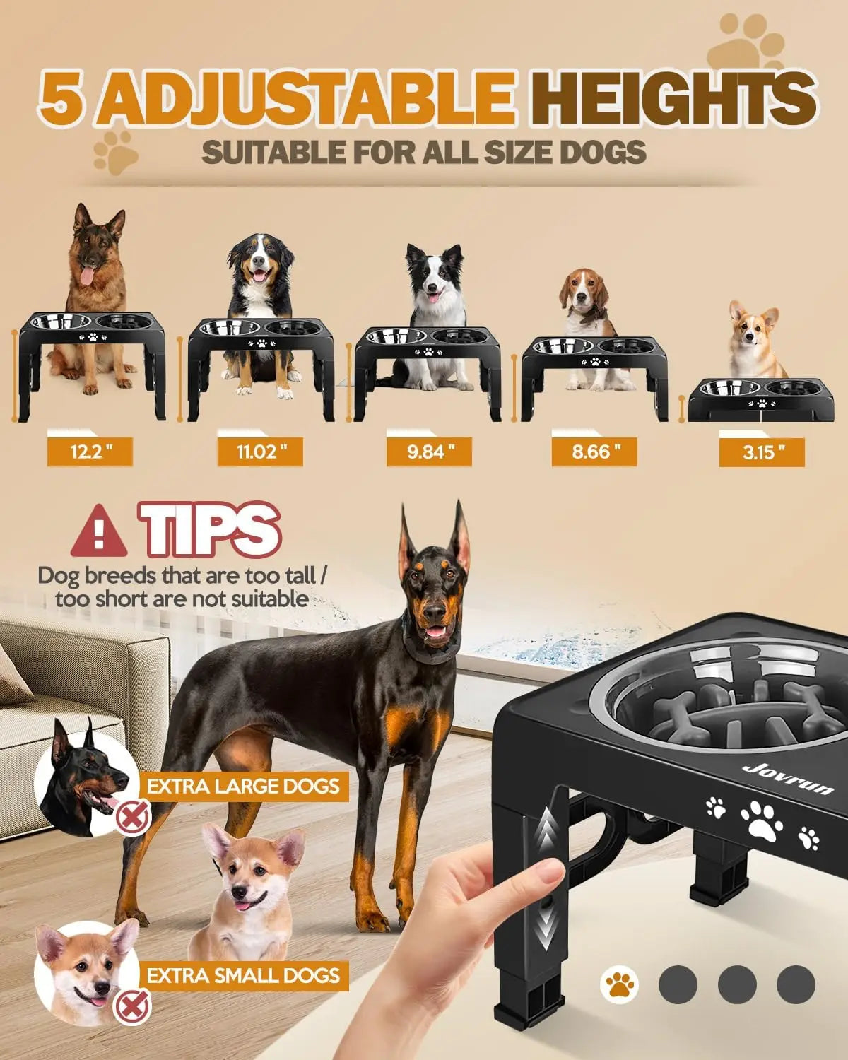 Adjustable Elevated Dog Bowl Slow Feeder With Stainless Steel Stand