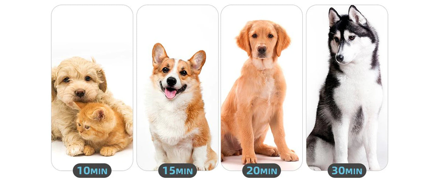 Dog Hair Dryer Grooming Blower with Heat and Stepless Speed