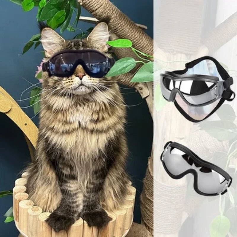 UV Protective Dog Goggles For Dogs