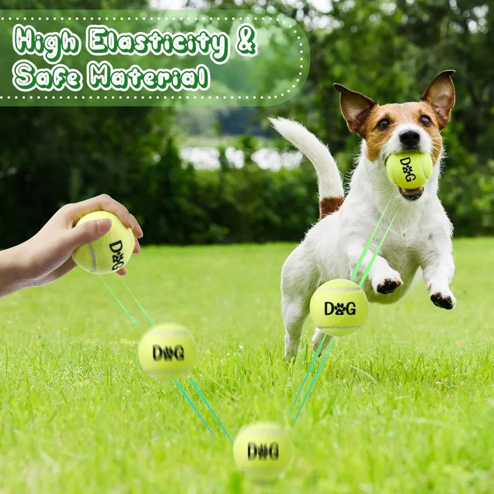 40 Pack Dog Tennis Balls Set With Carry Bags