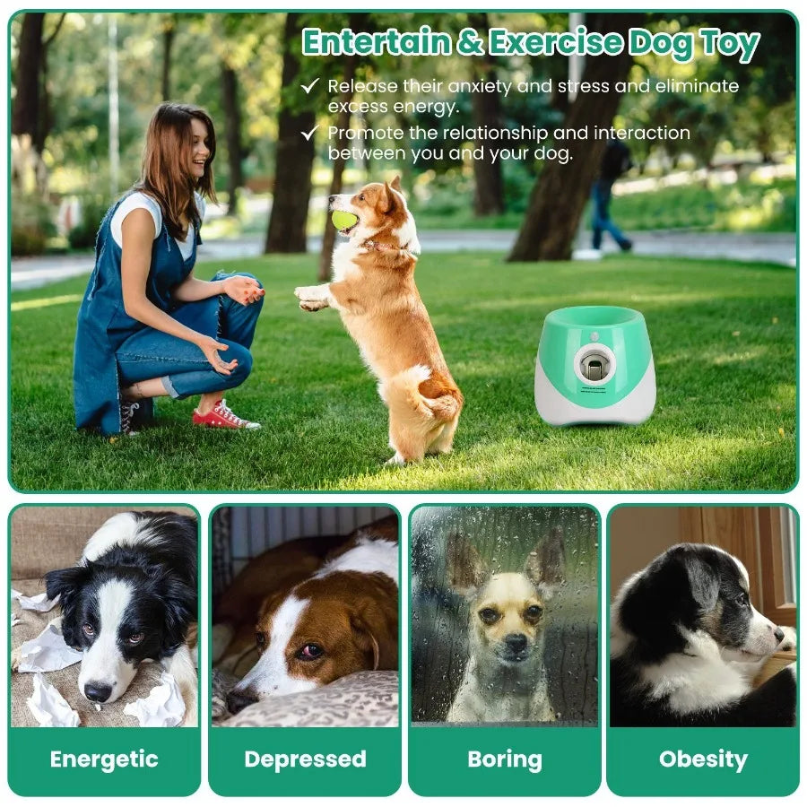 Automatic Dog Ball Launcher 6 Tennis Balls Interactive Fetch Toy