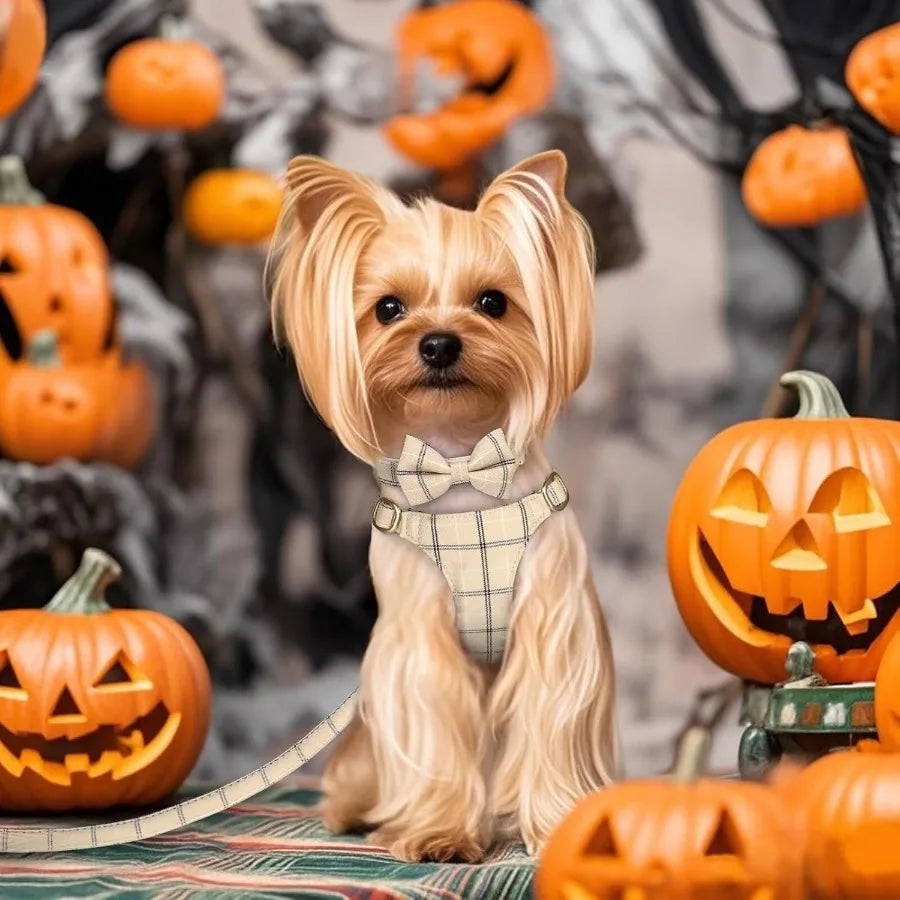 Hign-concerned Industrial-Grade Ultra-Soft Adjustable Dog Harness Leash Bowtie Plaid