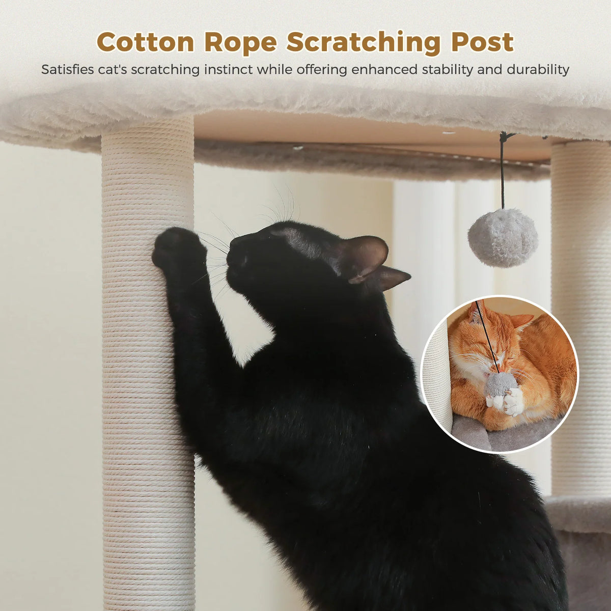 PAWZ Road Multi Level Cat Tree With Scratching Posts