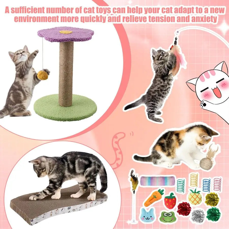 Kitten Starter Kit For Indoor Cats With Litter Box Toys Hammock Bed Scratcher Climbing Post And Bowls