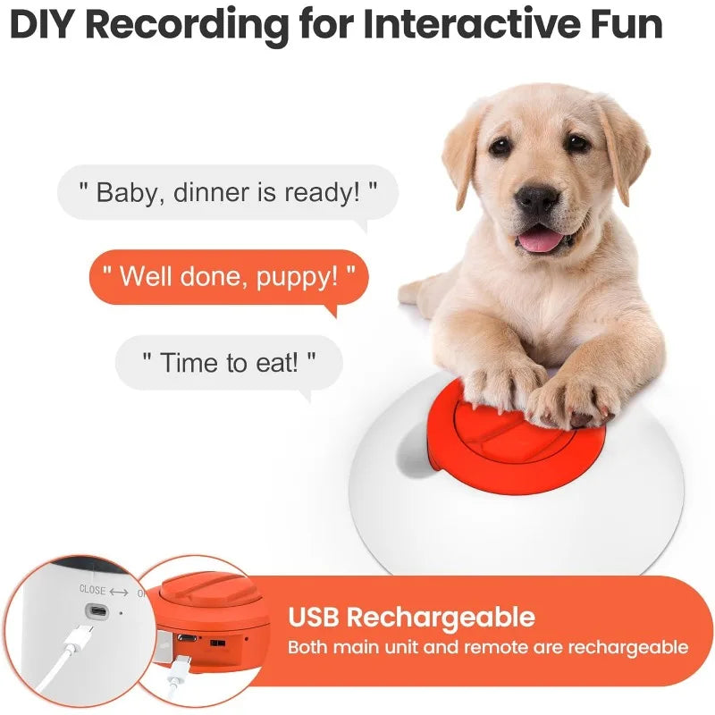 All Breed Ultradurable Interactive Dog Puzzle Feeder Treat Dispenser Masterpieces