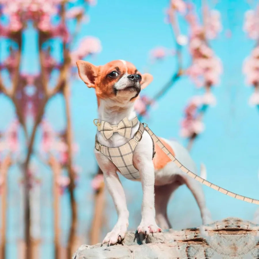 Hign-concerned Industrial-Grade Ultra-Soft Adjustable Dog Harness Leash Bowtie Plaid