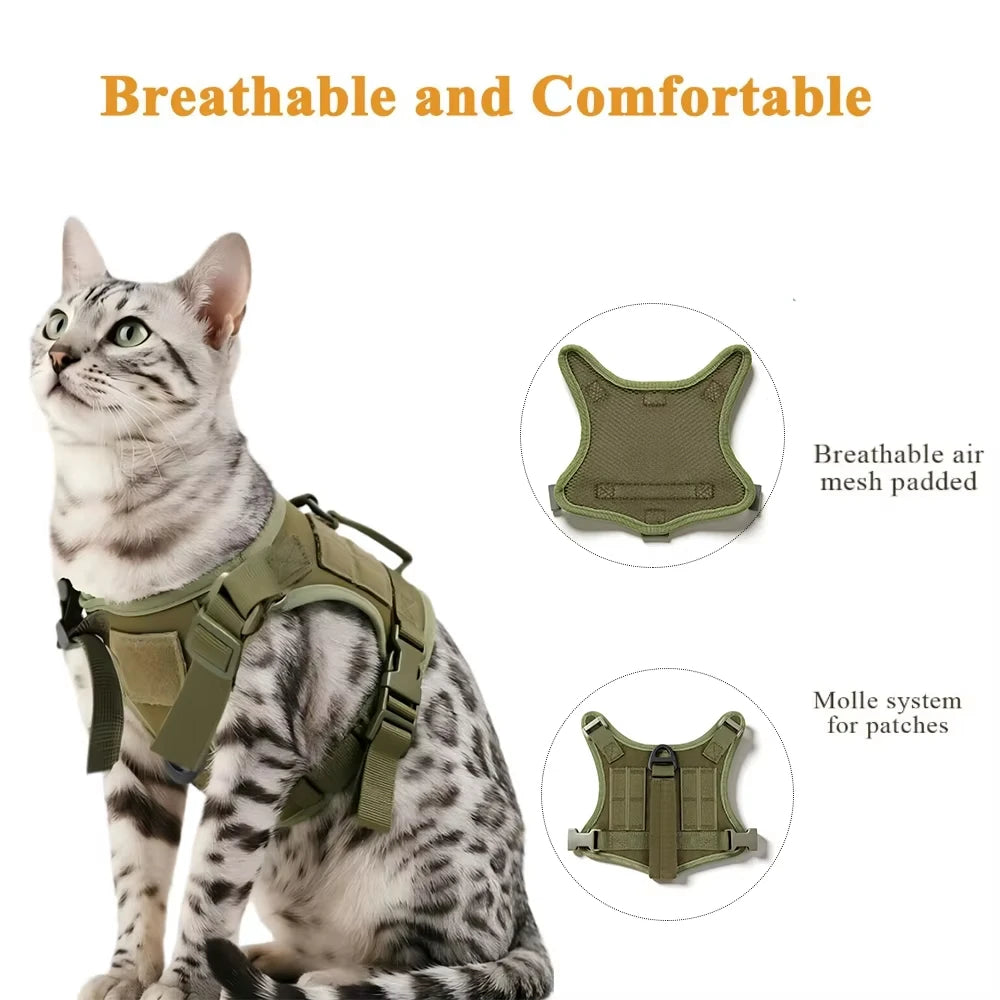 PETRAVEL Tactical Cat Harness And Leash Set For Outdoor Walking