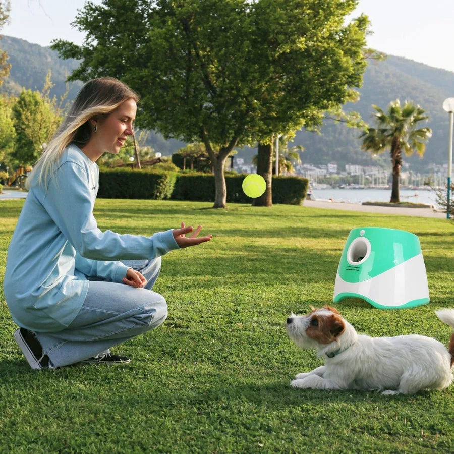 Automatic Dog Ball Launcher 6 Tennis Balls Interactive Fetch Toy