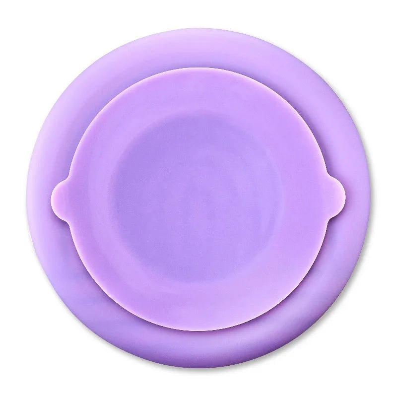 Silicone Slow Feeder Bowl For Pets Promotes Healthy Mealtimes