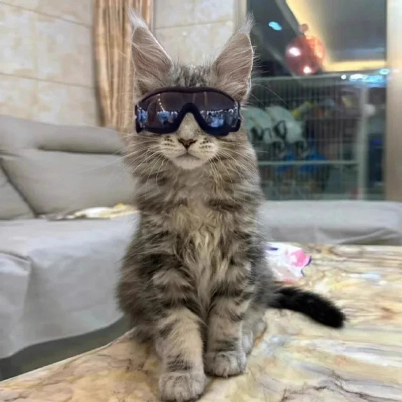 UV Protective Dog Goggles For Dogs