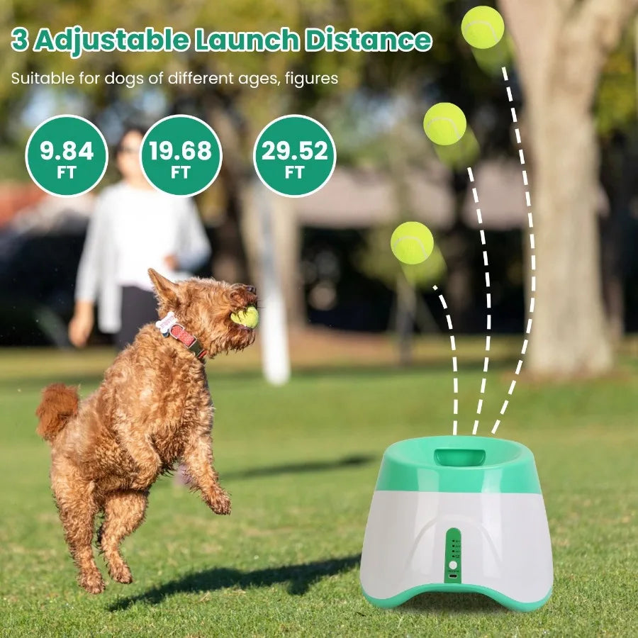 Automatic Dog Ball Launcher 6 Tennis Balls Interactive Fetch Toy