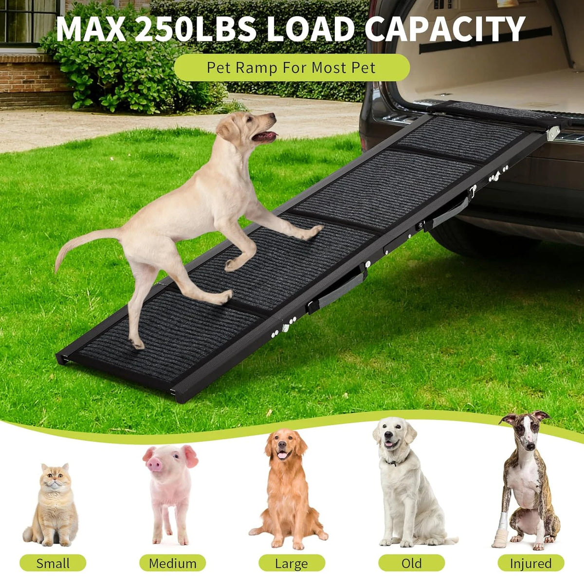 HiMISS Folding Dog Car Ramp With Non Slip Surface