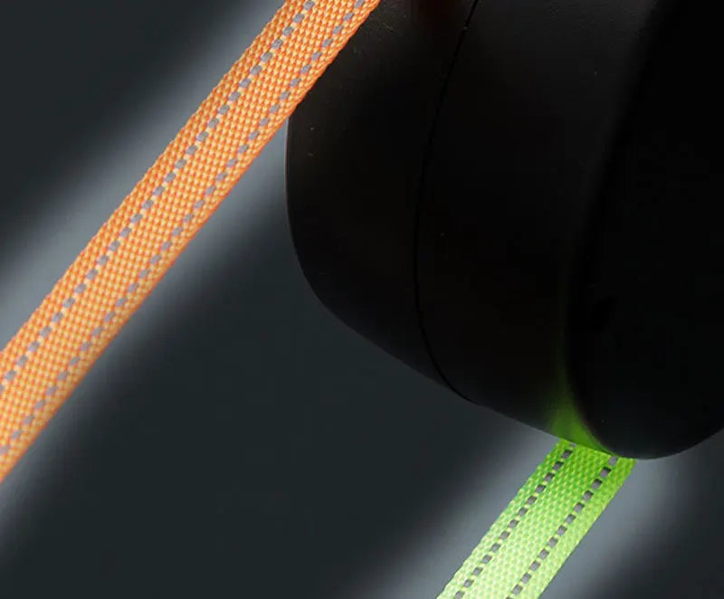 Guangdong 3In1 Double Head Automatic Retractable Dog Leash Flashlight Poop Bag Dispenser Reflective