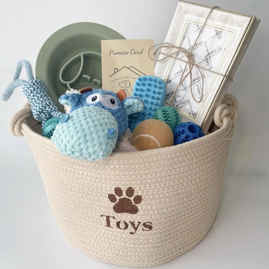 Dog Welcome Gift Box For New Puppy Starter Kit