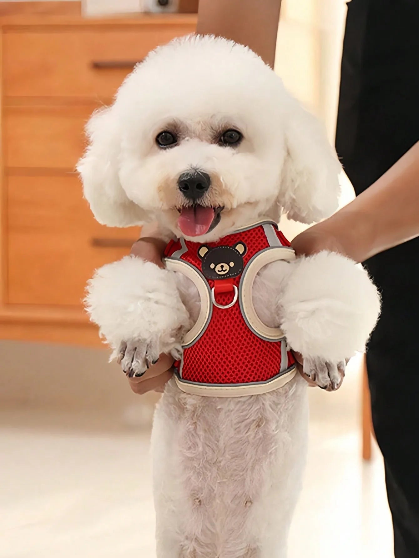 Cartoon Bear Reflective Pet Harness Leash Set For Dogs Cats