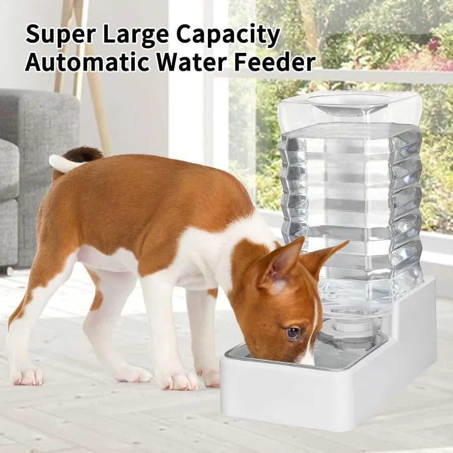 Automatic Pet Water Dispenser With Gravity Fed Stainless Bowl