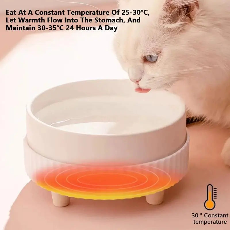 Premium Heated Cat Water Bowl With Rechargeable Heating Technology CeramicMaterial