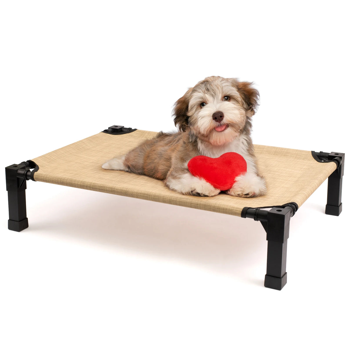 Elevated Dog Bed Cooling Raised Cot With Breathable Washable Mesh