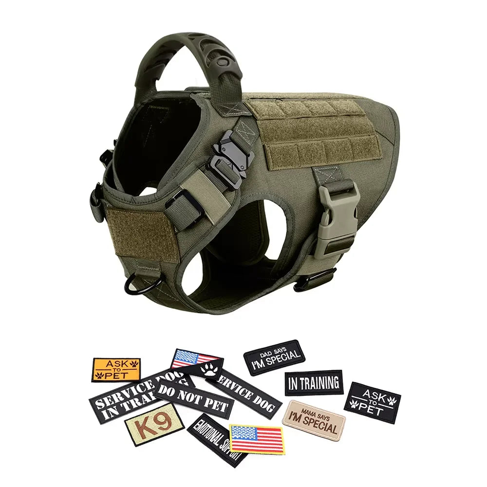 PETRAVEL Tactical Dog Harness Vest With Training Leash Set