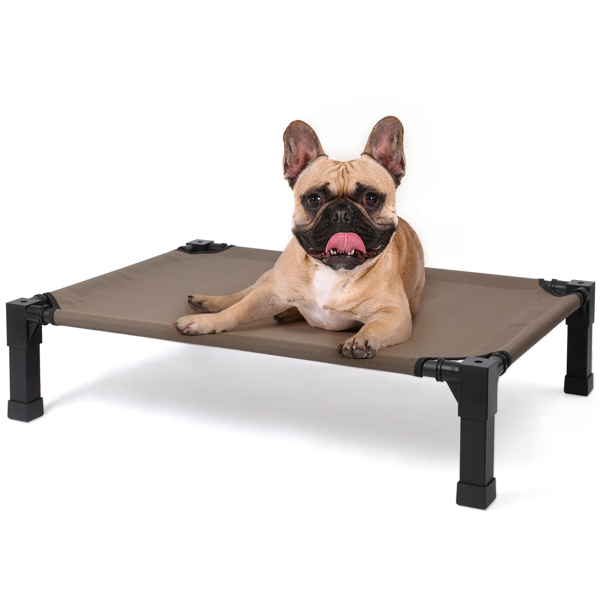 Elevated Dog Bed Cooling Raised Cot With Breathable Washable Mesh