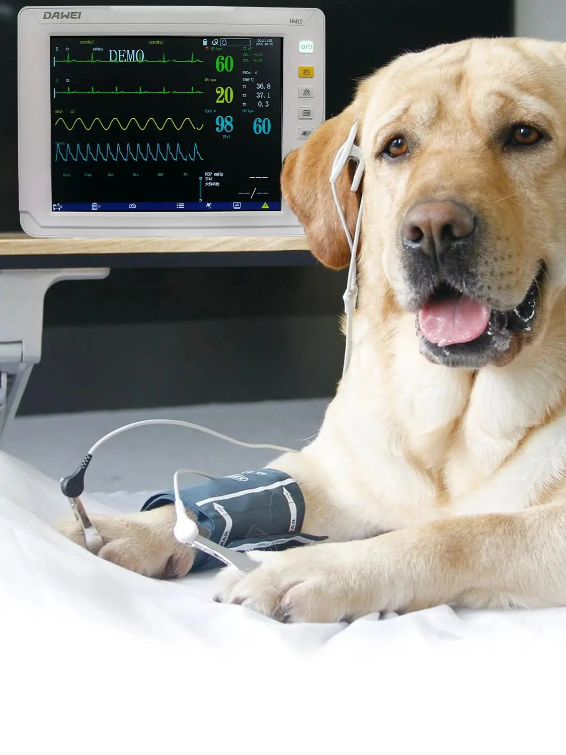 DAWEI Veterinary Patient Monitor With ECG Oxygen Blood Pressure