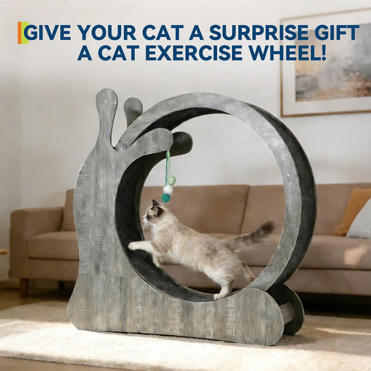 Garvee Cat Treadmill Running Wheel for Indoor 3 in 1 Cat Treadmill Wheels Roller Fitness Cats Toys Sports Cats Supplie Pet with Scratching Board and Play Balls