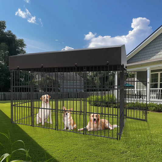 Outdoor Dog Kennel Enclosure With Roof And Cover