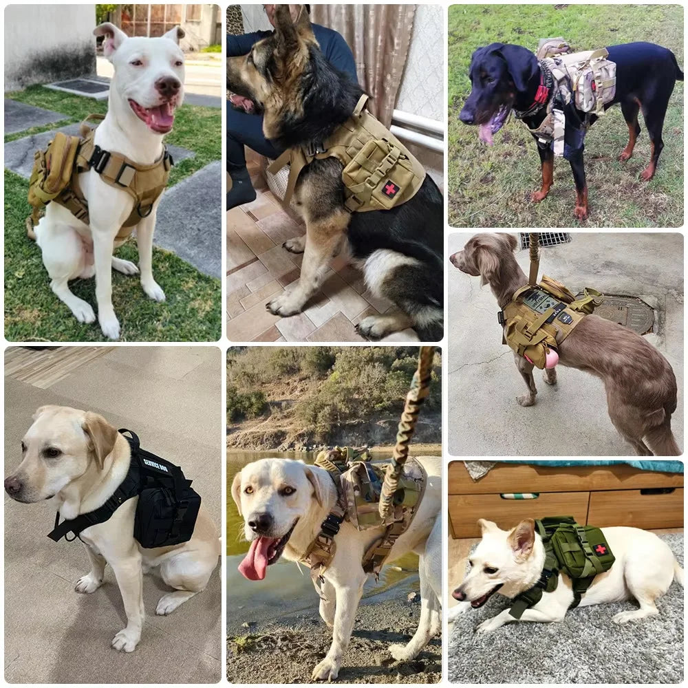PetraVel Adjustable Tactical Dog Harness With Leash And Pack