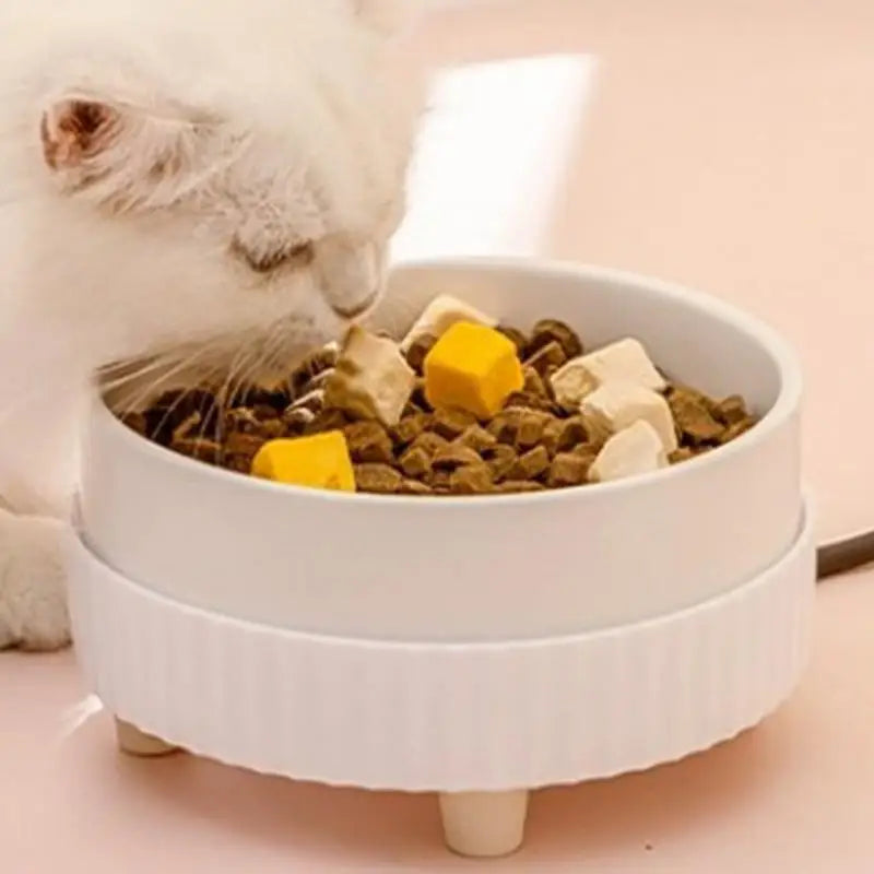 Premium Heated Cat Water Bowl With Rechargeable Heating Technology CeramicMaterial