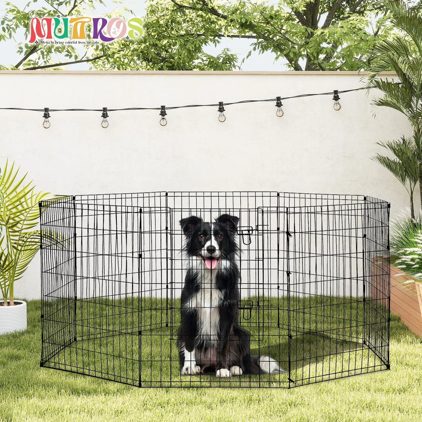 Foldable Metal Dog Playpen Indoor Outdoor Fence with Doors