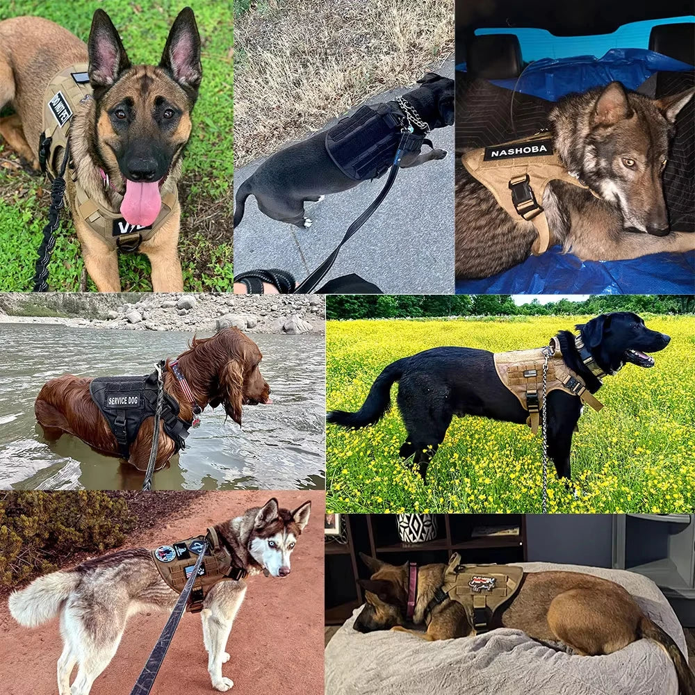 PETRAVEL Tactical Dog Harness Vest With Padded Quick Release