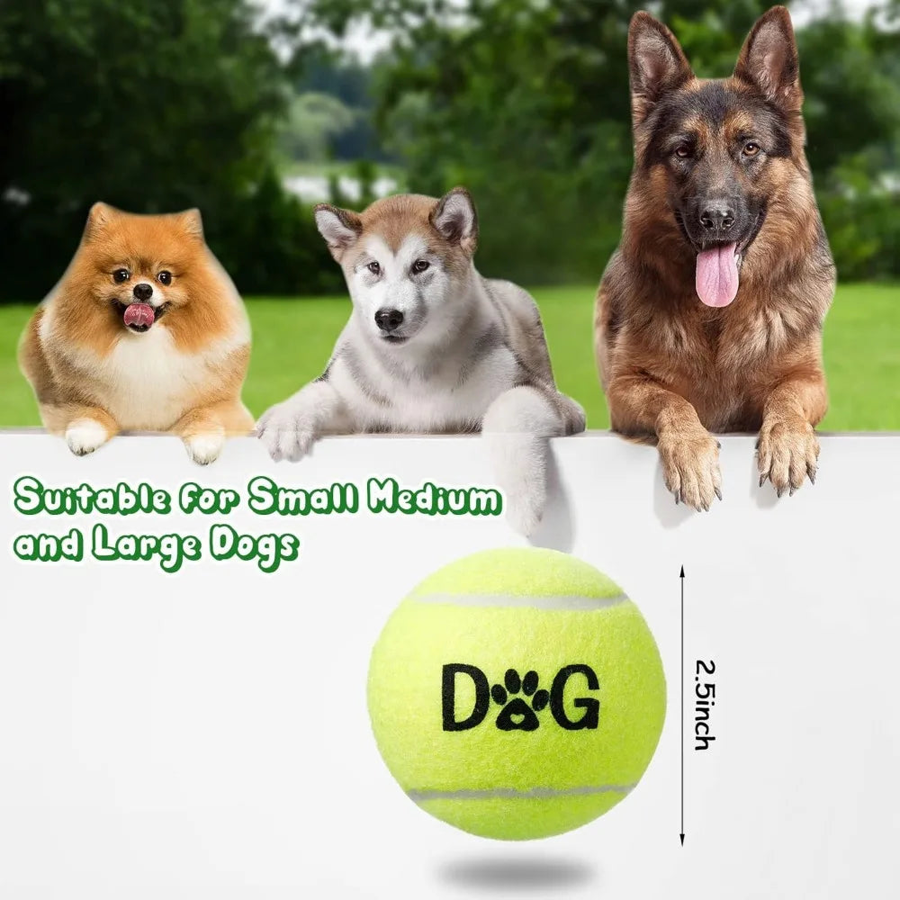40 Pack Dog Tennis Balls Set With Carry Bags