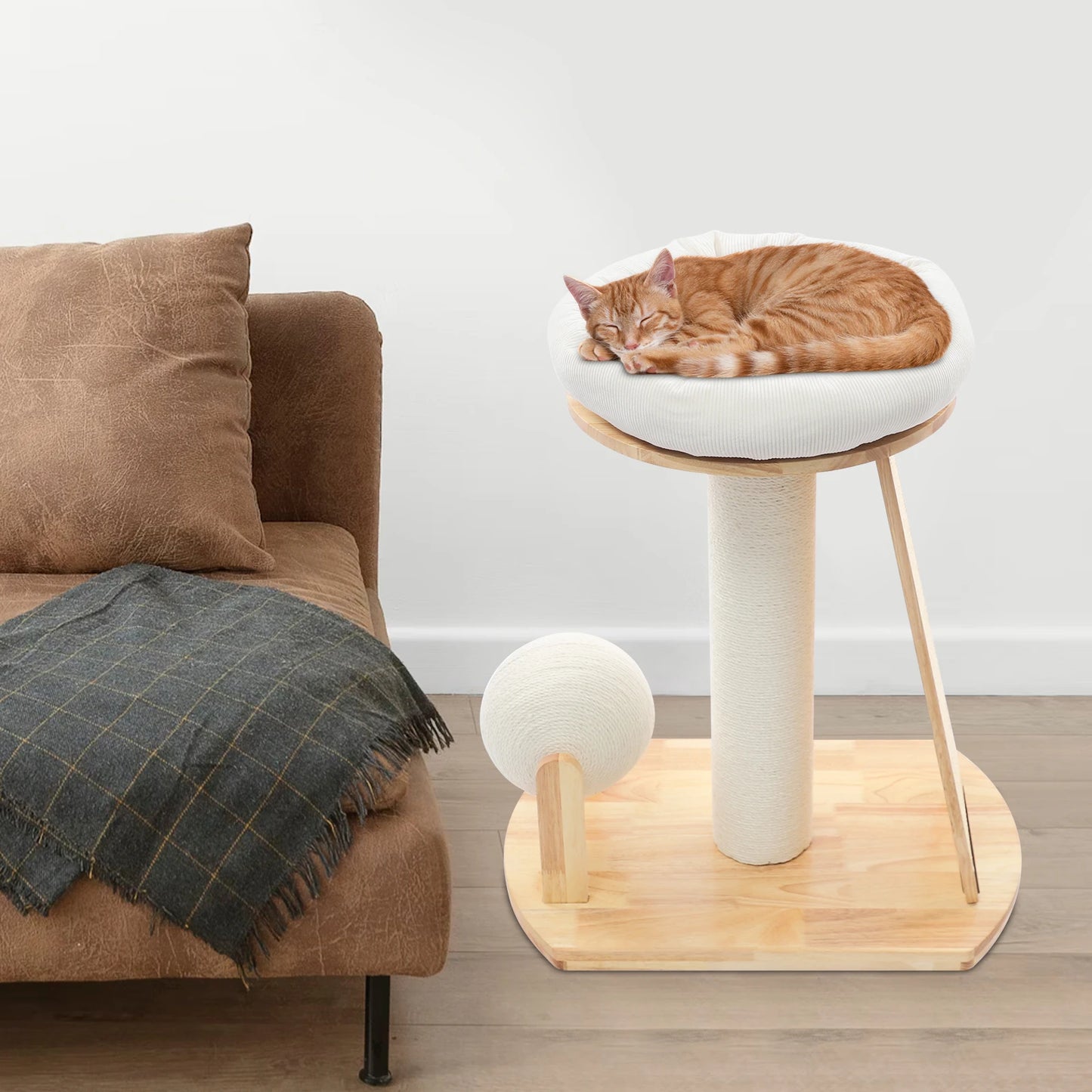 Sichuan Wood Cat Tree With Space Capsule And Scratching Pad