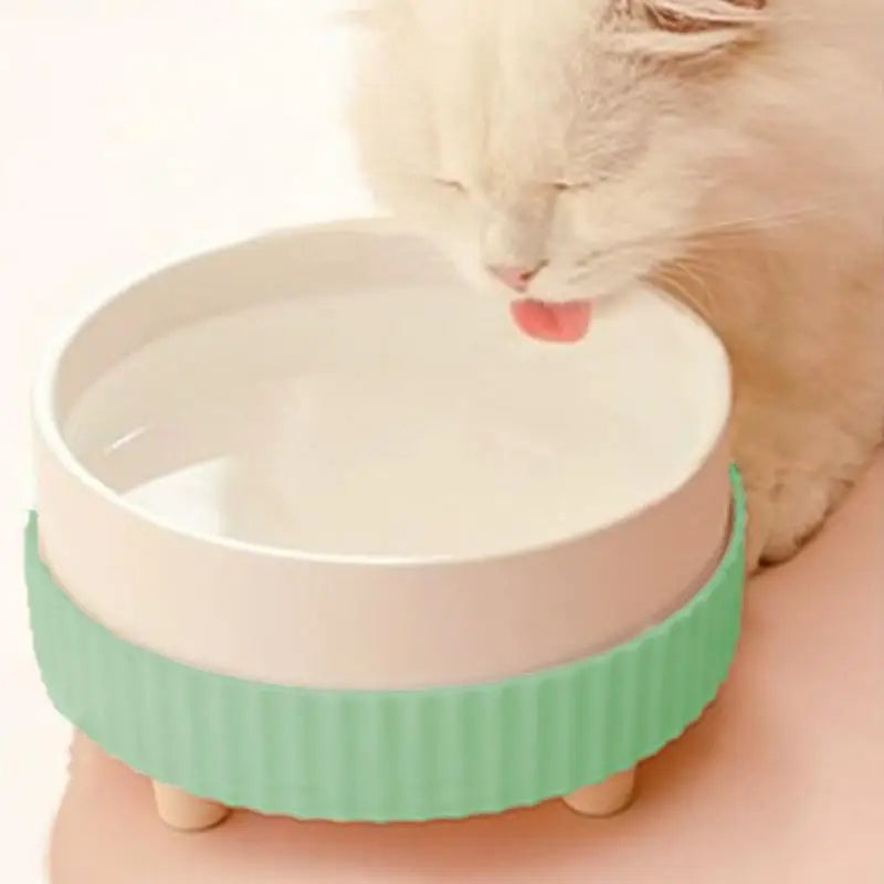 Premium Heated Cat Water Bowl With Rechargeable Heating Technology CeramicMaterial