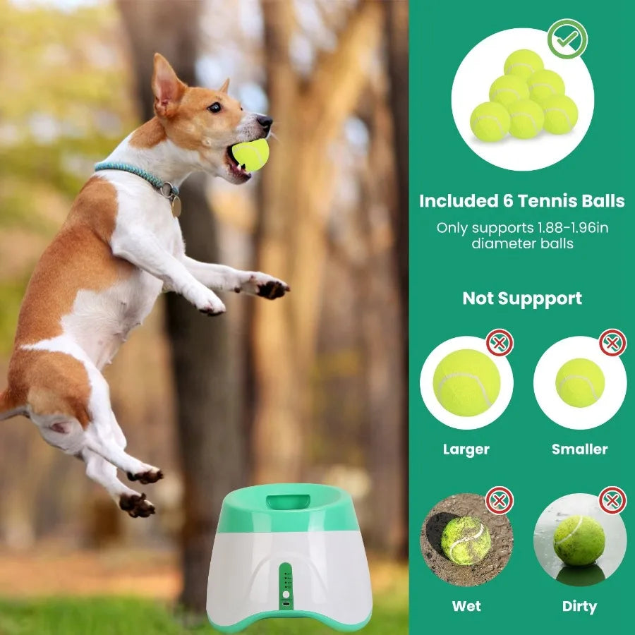 Automatic Dog Ball Launcher 6 Tennis Balls Interactive Fetch Toy